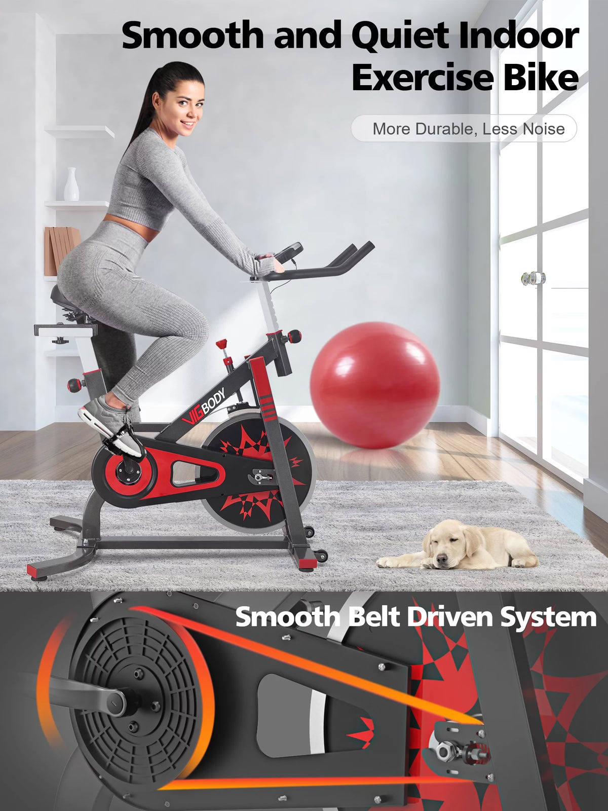 Exercise Bike 330lbs Weight X11459