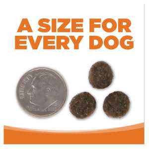 Grain Free Venison Red Lentils Dog Food P5035