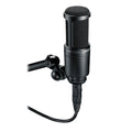 Large Diaphragm Condenser Microphone A848655