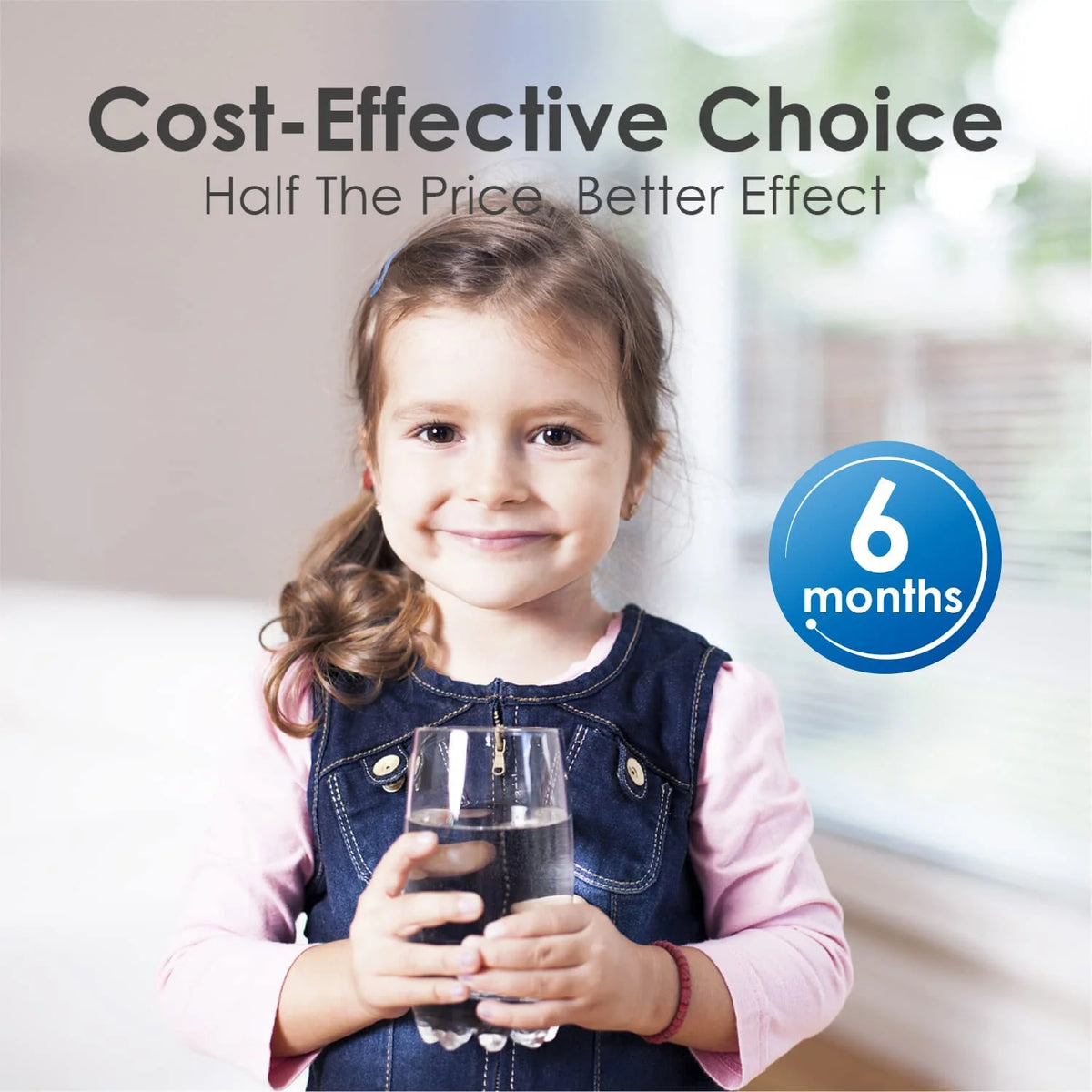 Refrigerator Water Filter 4 Pack X387