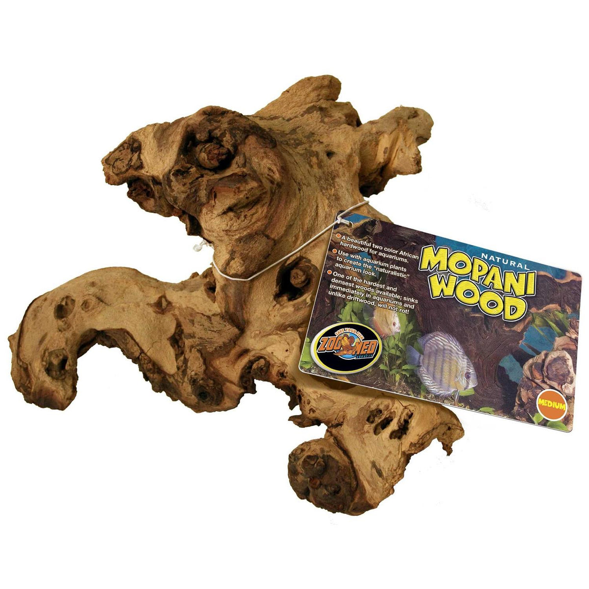 Mopani Wood I712