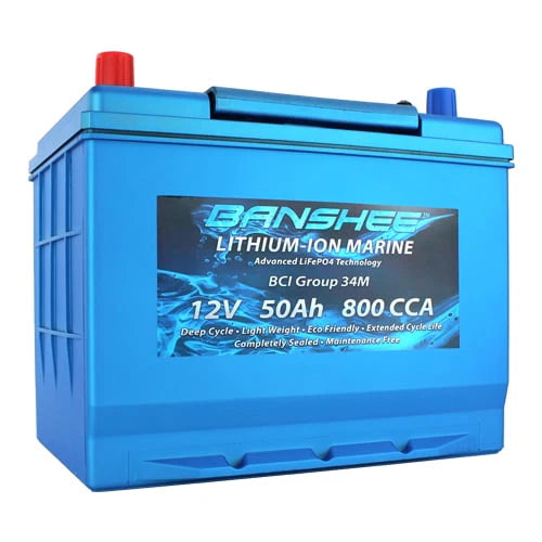 Group Size 34 Deep Cycle Lithium RV Battery C78294