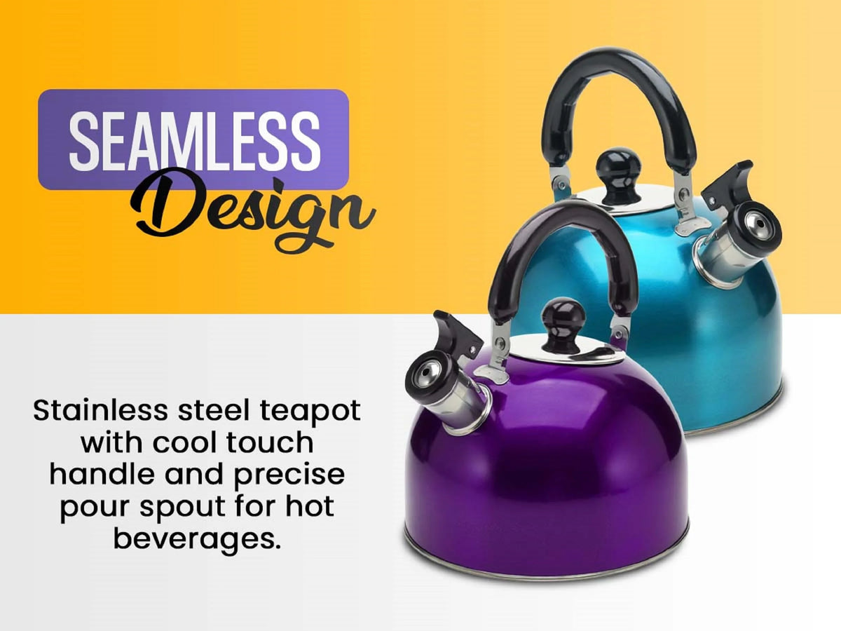 Stainless Steel Whistling Tea Kettle 3L T466374