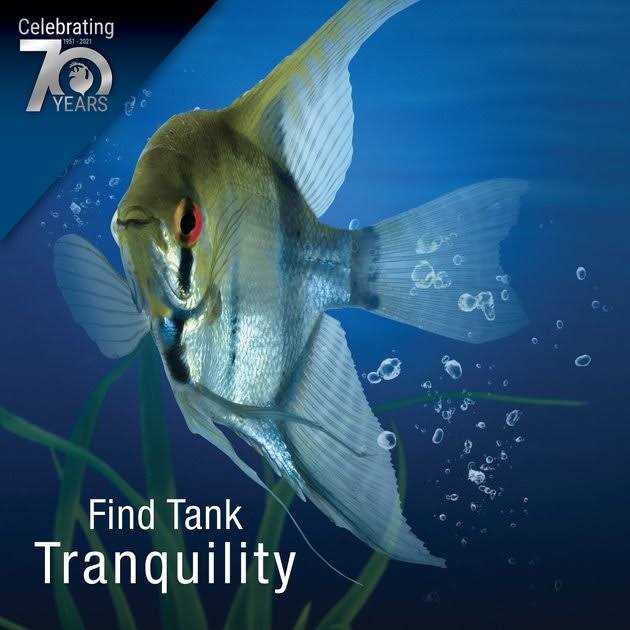 Water Clarifier J6732