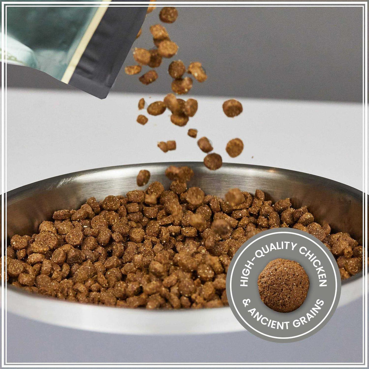 Ancient Grains with Chicken Dog Food P609