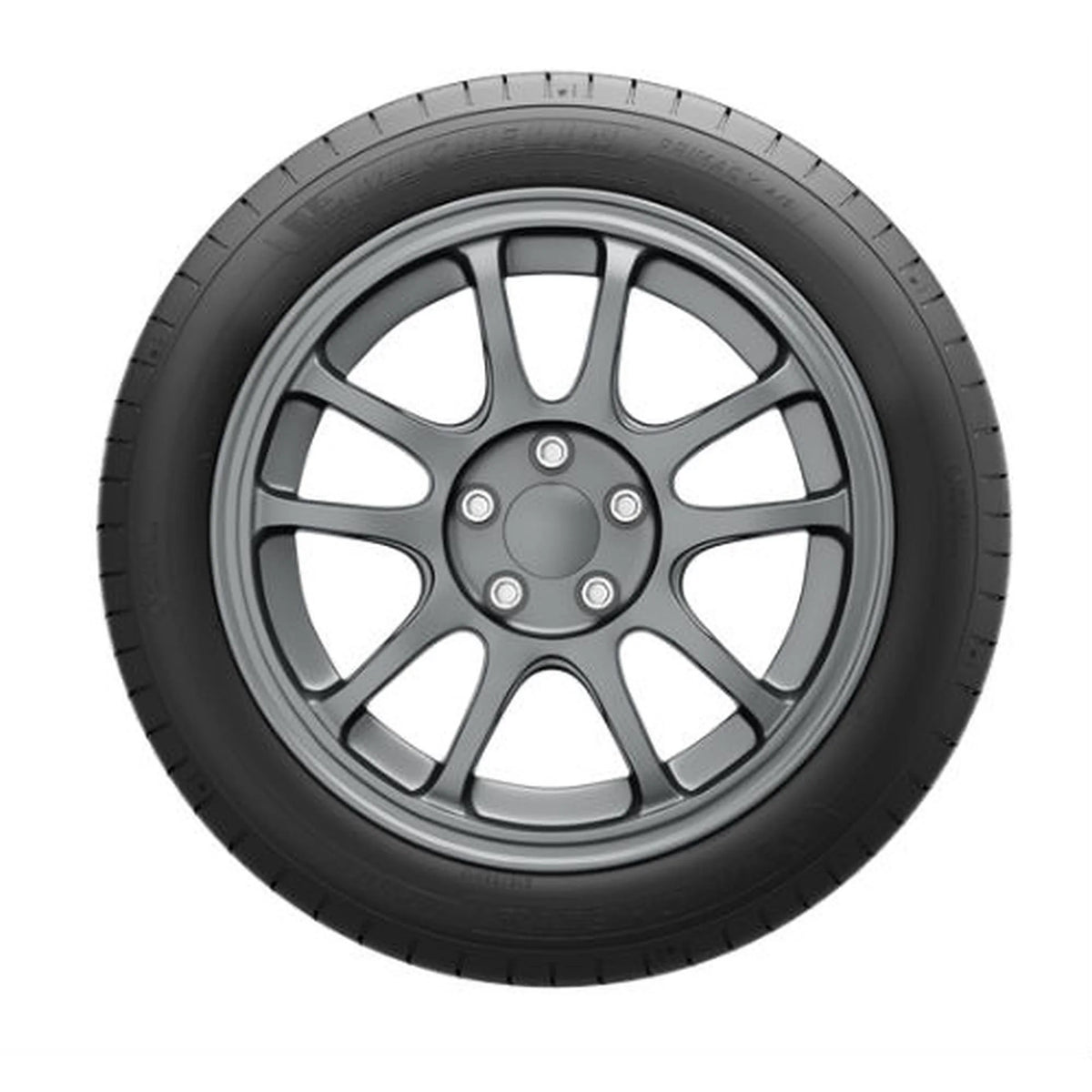 All Season 255/55R20 110V XL Passenger Tire P9897