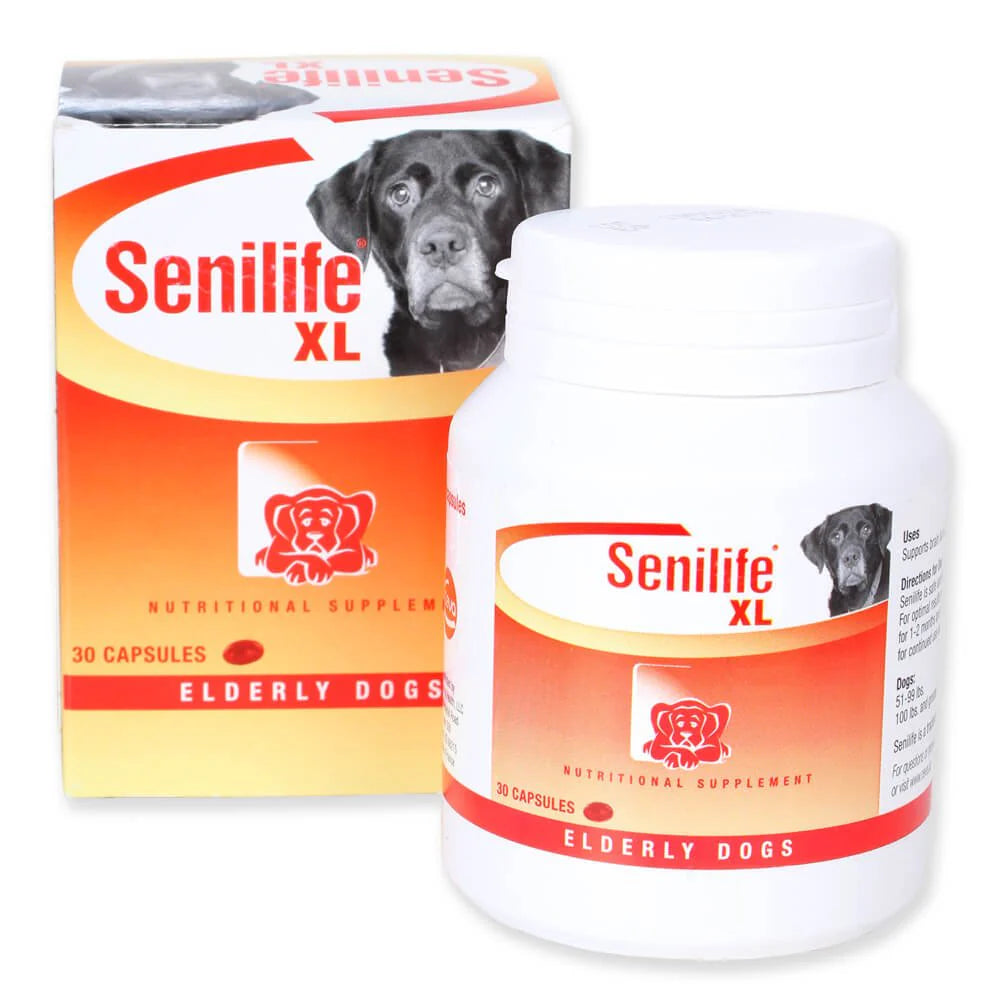 Nutritional Supplement for Elderly Dogs T764