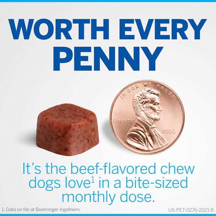 Chewables for Dogs 10.1 to 24 lbs H2757