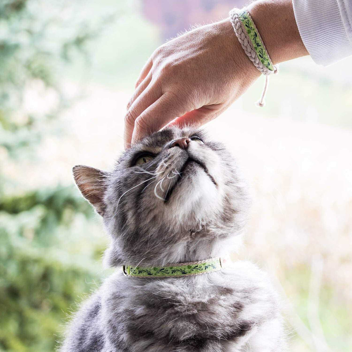Cat Collar Breakaway U770937