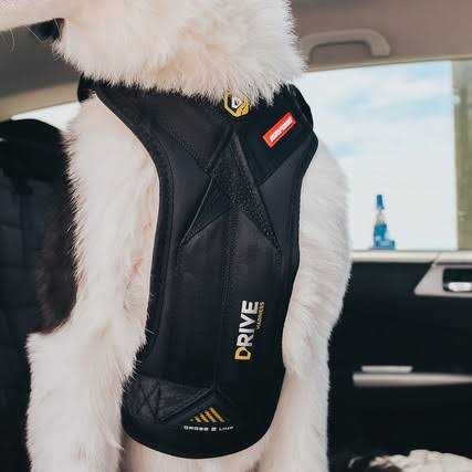 Dog Car Harness P59807