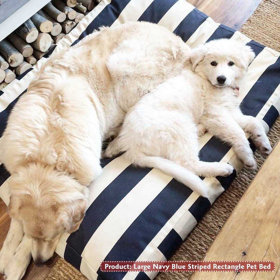 Vertical Stripe Rectangle Dog Bed Y40214