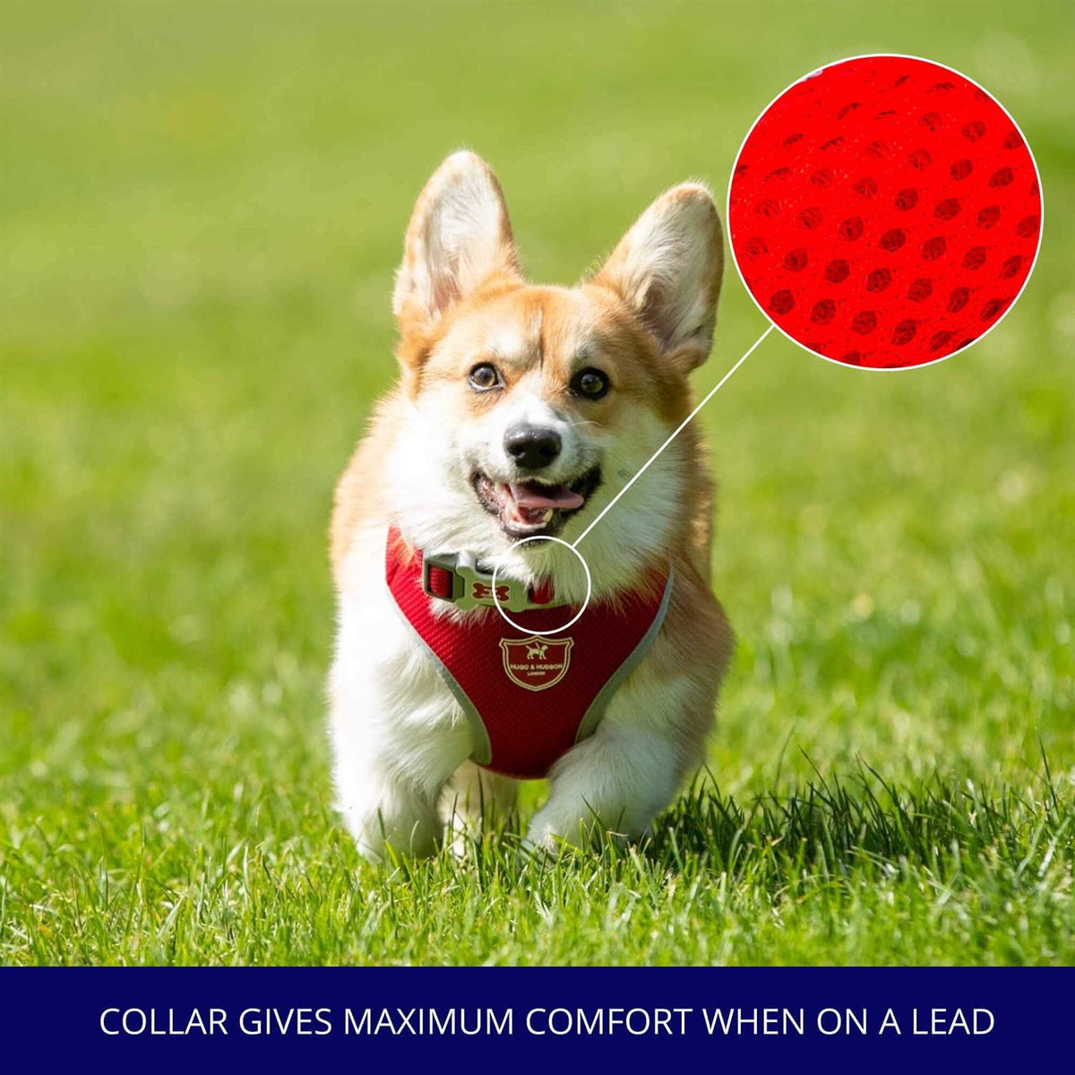 Mesh Dog Collar Y594325