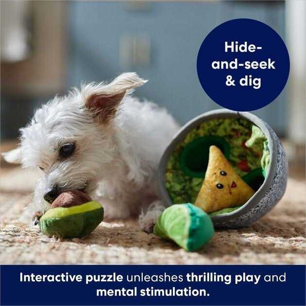 Plush Squeaky Dog Toy C176921