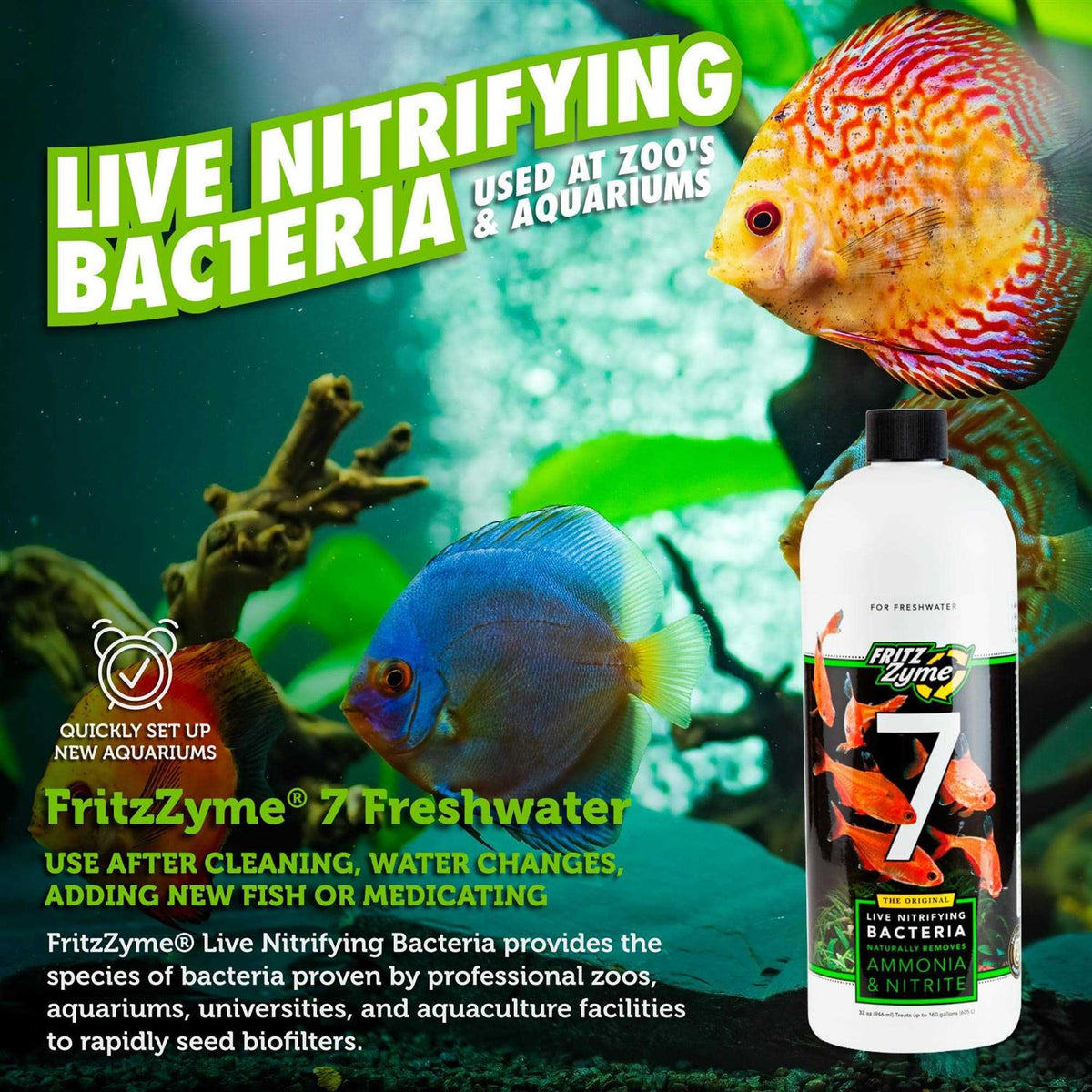 Freshwater Nitrifying Bacteria T87080