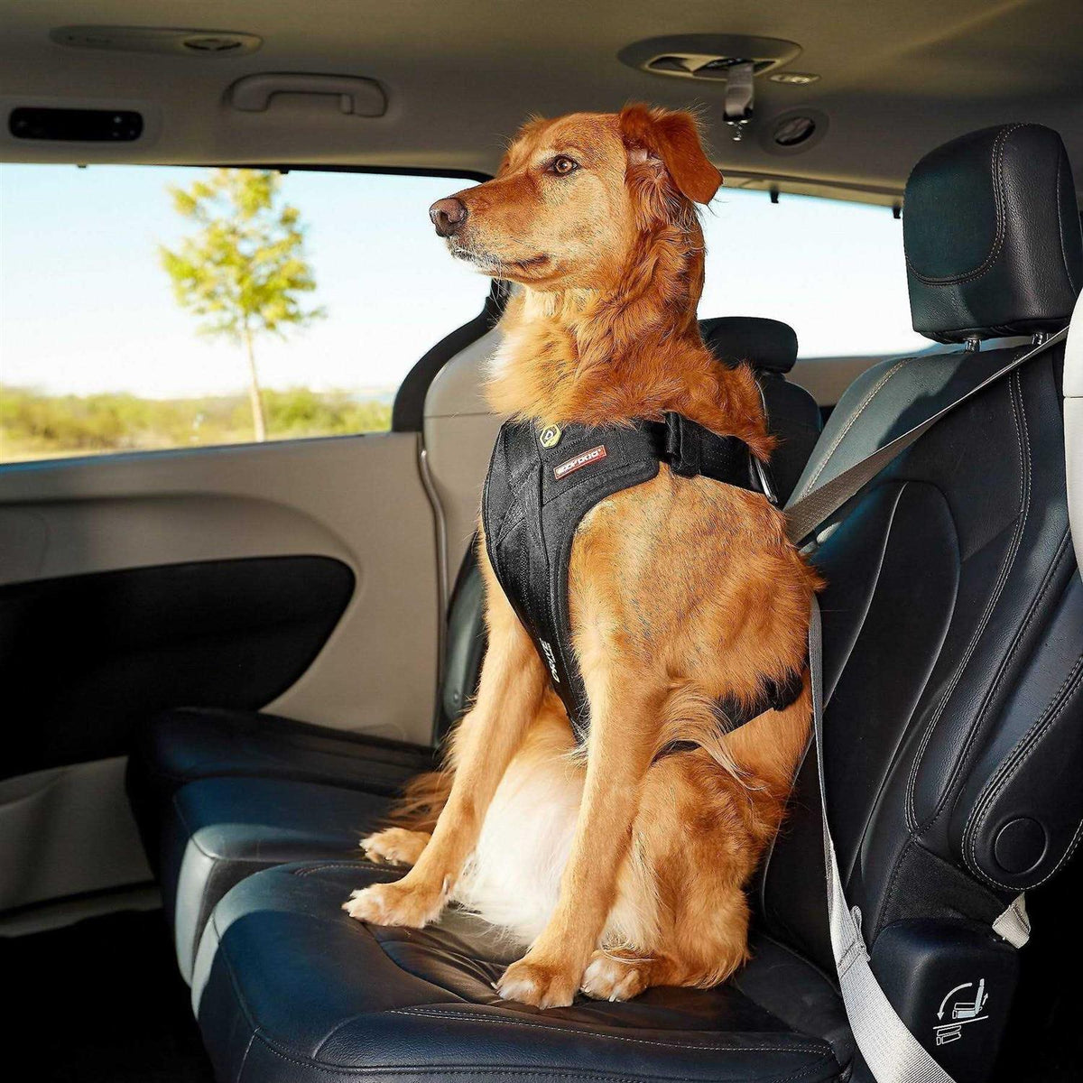 Dog Car Harness G153