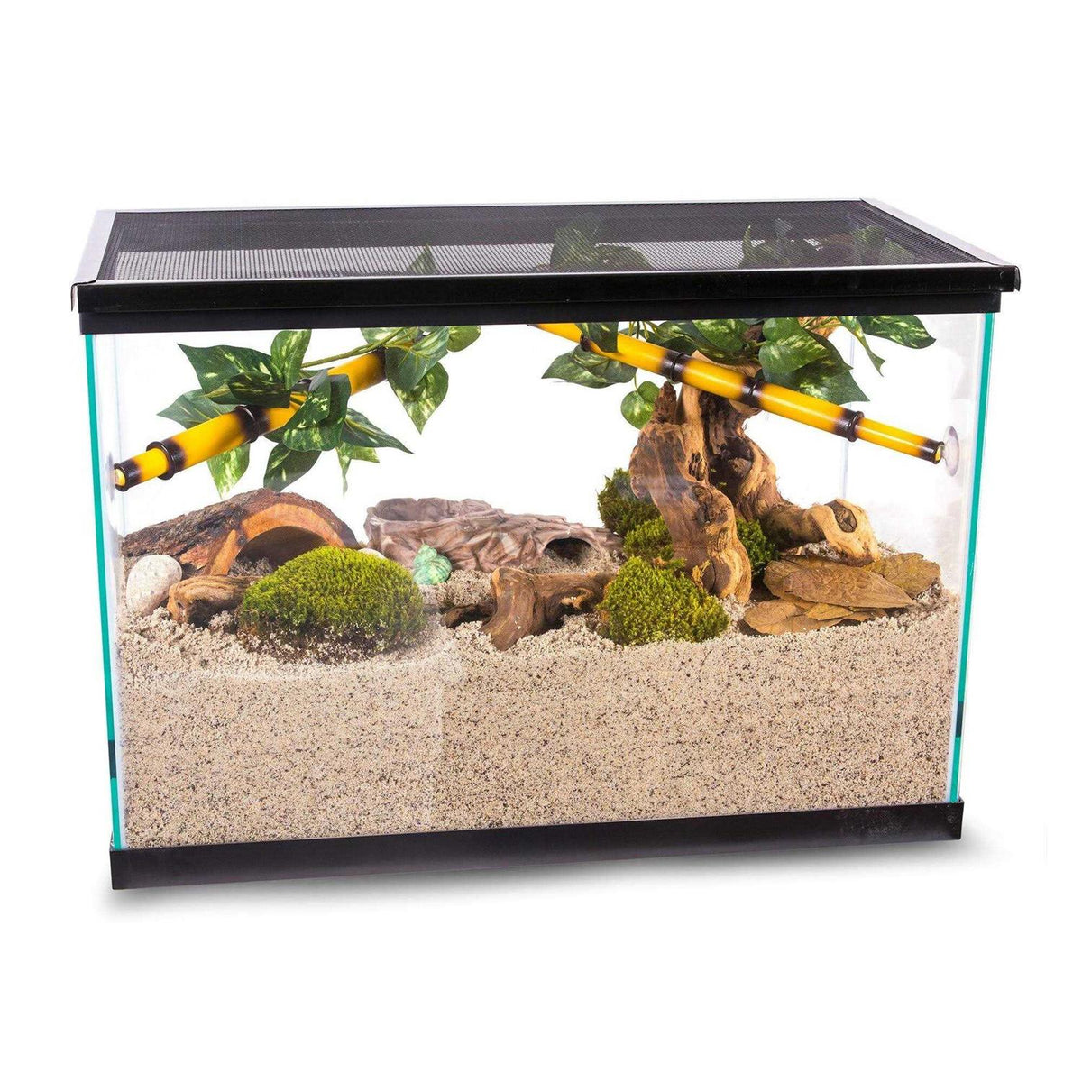 Hermit Crab Sand Substrate N19176