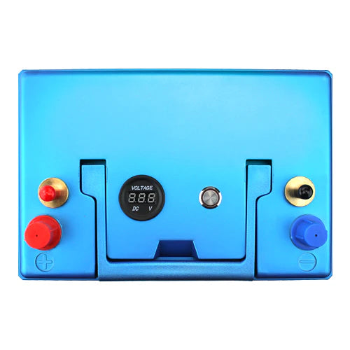 Group Size 34 Deep Cycle Lithium RV Battery C78294