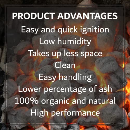 6.5 Lb Oak & Applewood Charcoal Briquettes I296278