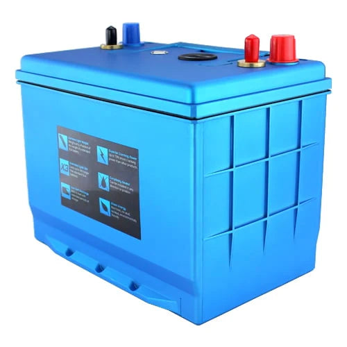 Group Size 34 Deep Cycle Lithium RV Battery C78294