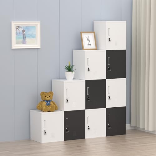 Black Metal Storage Locker Cabinet with Locking Door and Adjustable Shelf J79489
