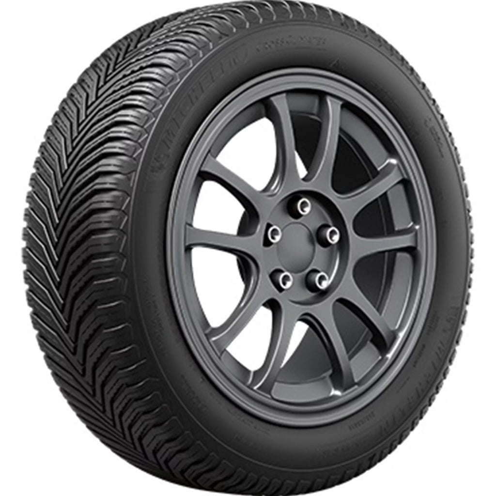 All Weather 255/55R20 110V XL SUV/Crossover Tire D74487