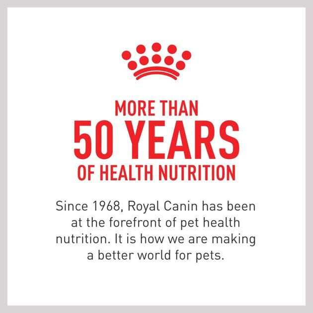 Hydrolyzed Protein Canned Dog Food R2955