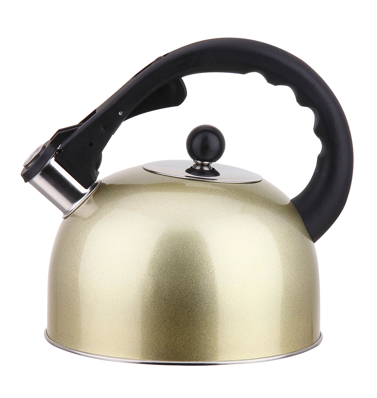 Stainless Steel Whistling Tea Kettle 3L T466374