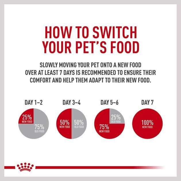 Hydrolyzed Protein Canned Dog Food R2955