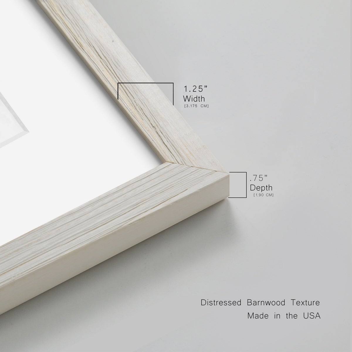Framed Canvas M5634