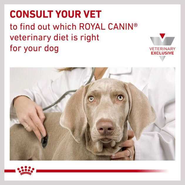 Hydrolyzed Protein Canned Dog Food R2955