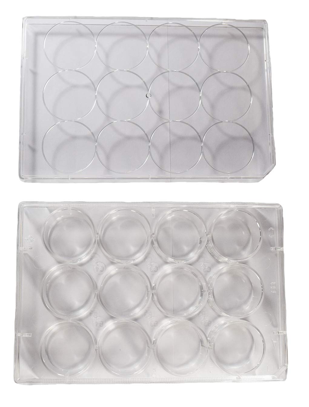 12 Well Sterile Flat Tissue Culture Plate O223