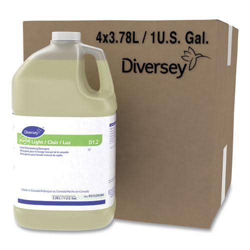 Citrus Hand Dishwashing Detergent B553
