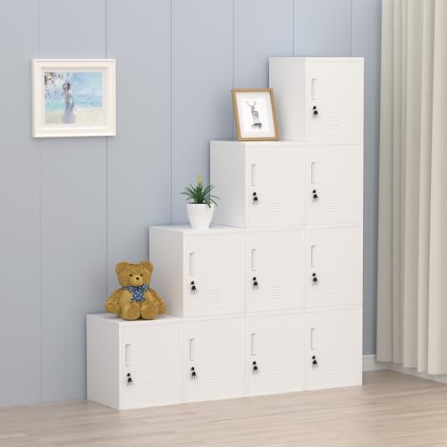 Black Metal Storage Locker Cabinet with Locking Door and Adjustable Shelf J79489