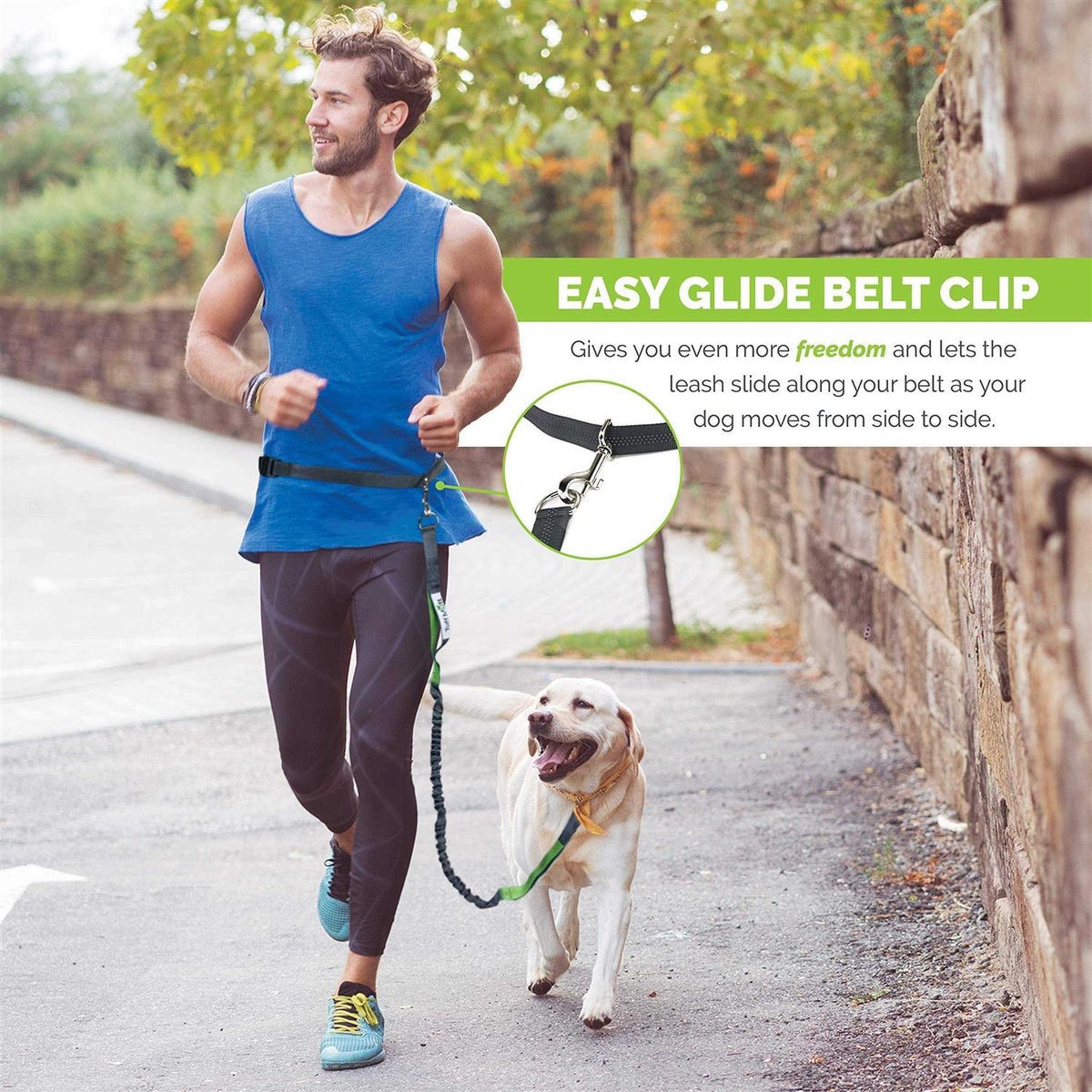 Hands Free Dog Leash with Dual-Handle Bungee L382