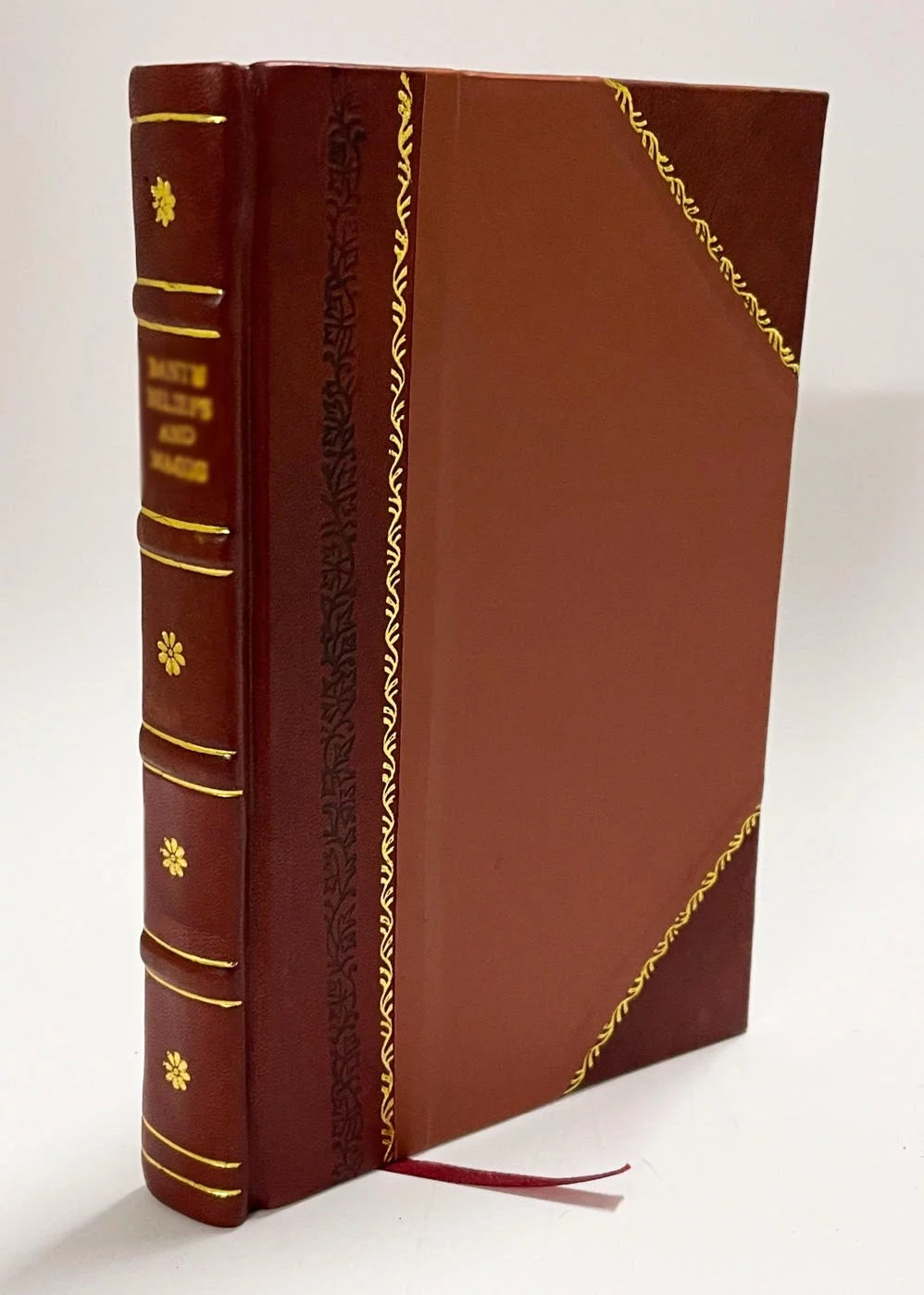 Different Girls Leather Bound D290368