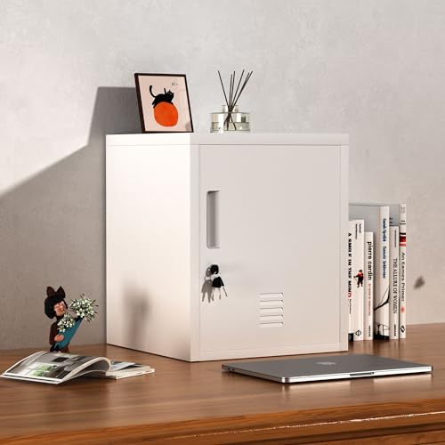 Black Metal Storage Locker Cabinet with Locking Door and Adjustable Shelf J79489