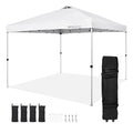 10 x 10 ft Pop Up Canopy Tent with Roller Bag and 4 Sandbags D598