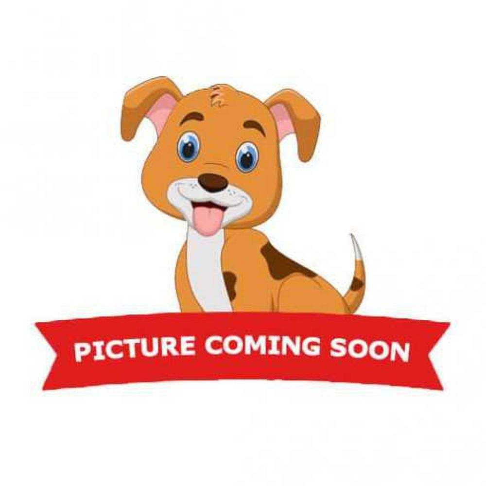 15ft XXL Dog Tie-Out D51262