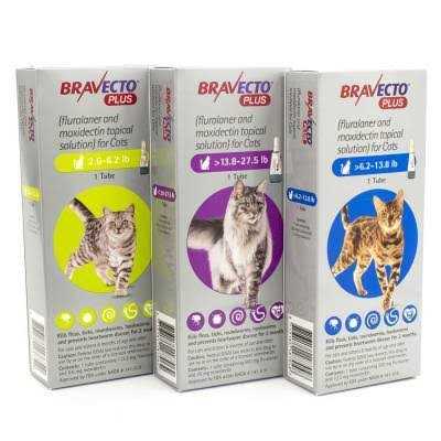 Topical Solution for Cats E580090