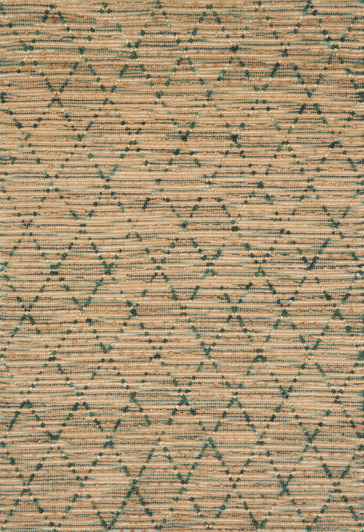 Aqua Rug 9'3 x 13' S25896