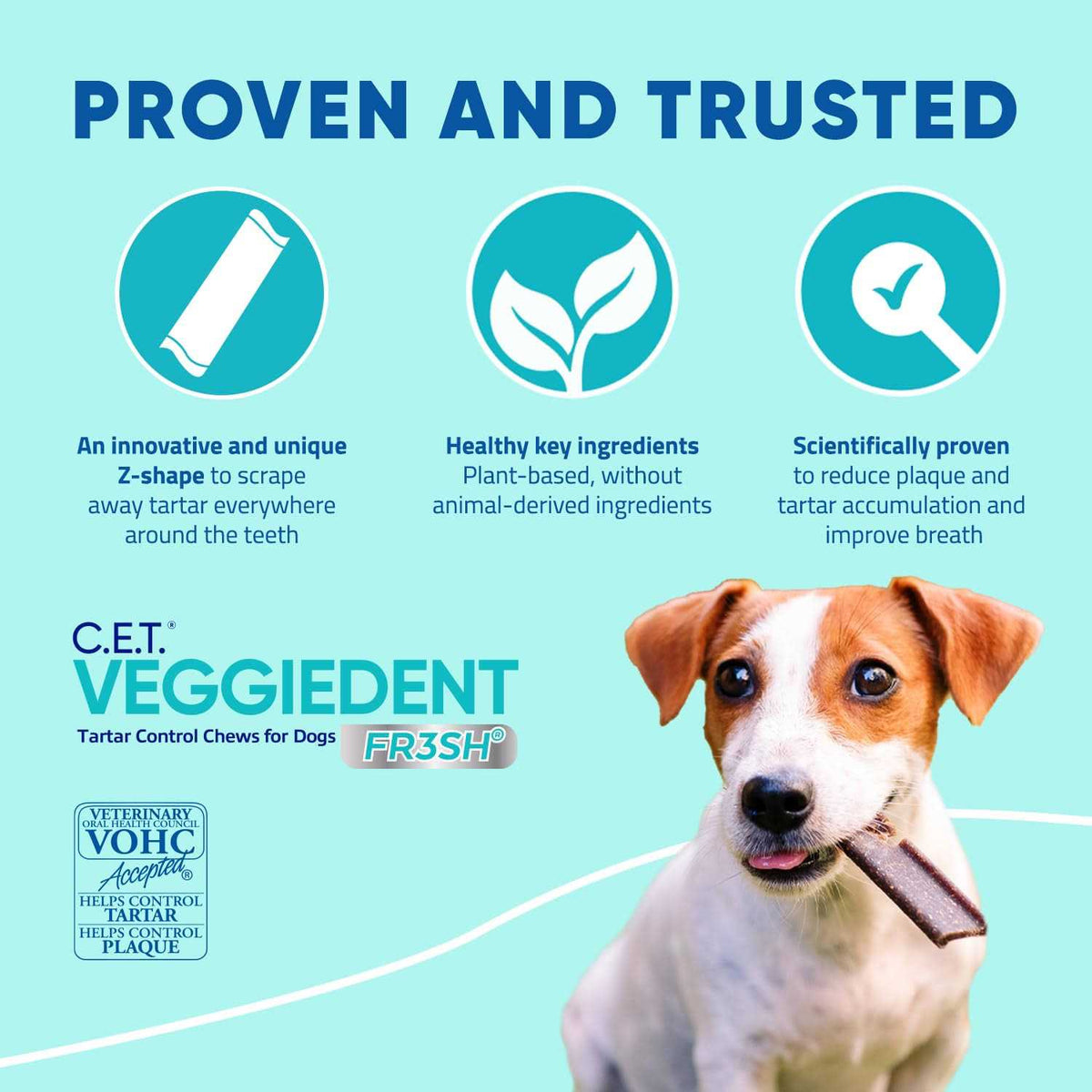 VeggieDent Tartar Control Chews for Dogs A372