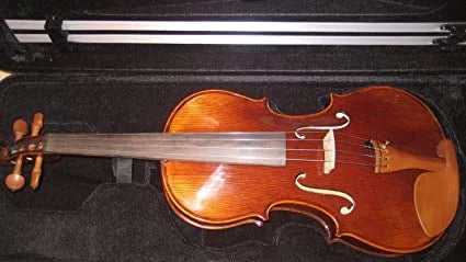 15" Viola P18021