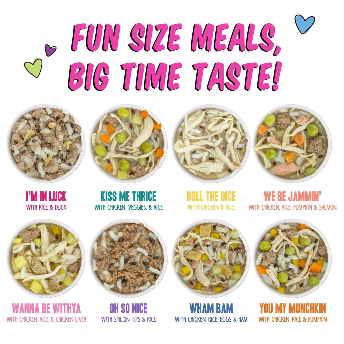 Wet Dog Food Variety Pack P4511