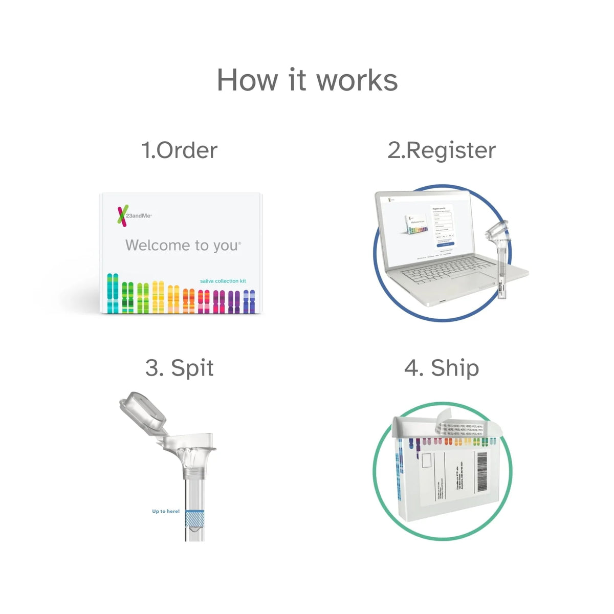 DNA Test B268899