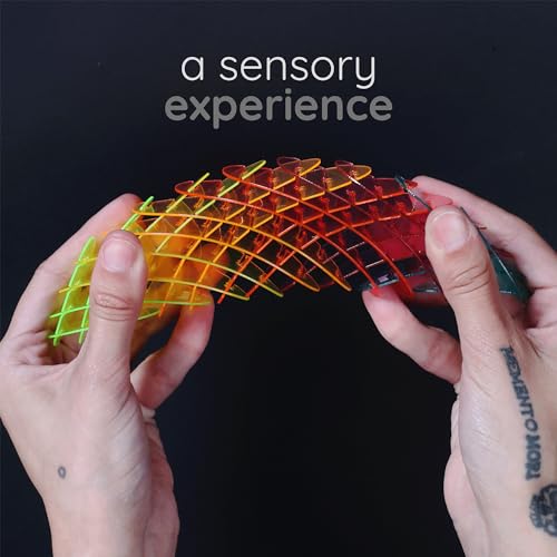 Flexible 3D Sensory Slug Fidget Toy N70885